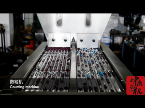 膠囊劑裝瓶裝盒包裝生產線視頻演示